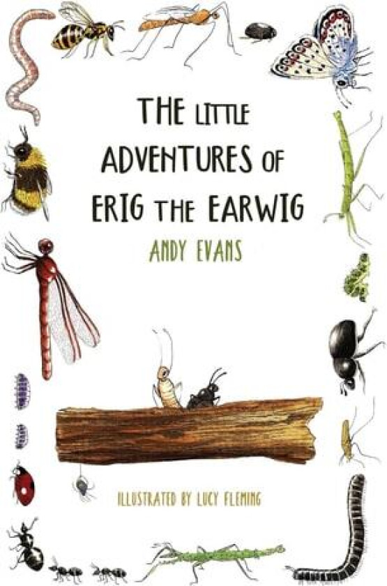 The Little Adventures of Erig the Earwig av Andy Evans