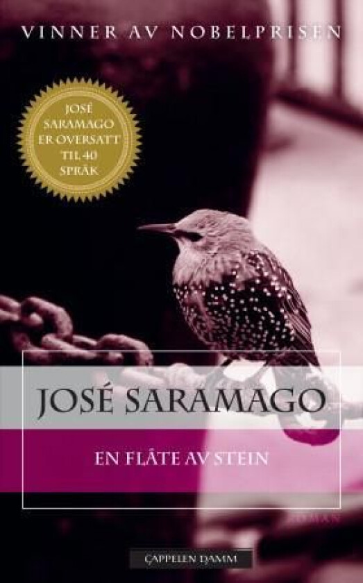 En flåte av stein av José Saramago