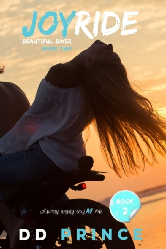 Joyride av DD Prince (Paperback)