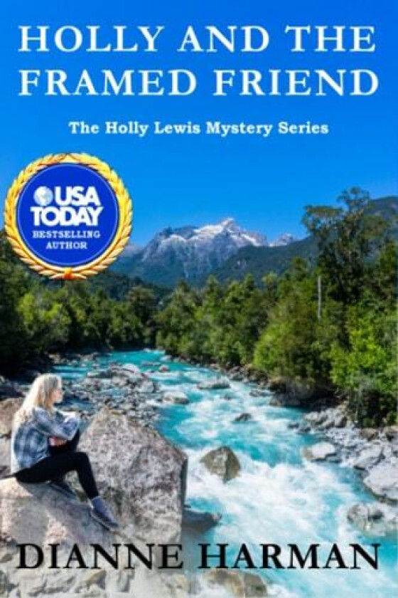 Holly and the Framed Friend av Dianne Harman (Paperback)