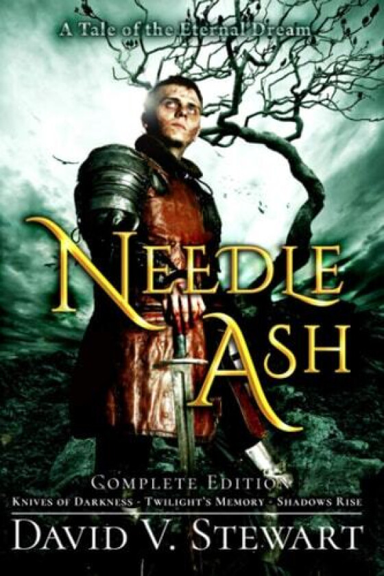 Needle Ash (The Eternal Dream) av David Van Dyke Stewart (Paperback)