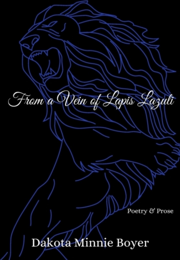 From a Vein of Lapis Lazuli av Dakota Minnie Boyer (Paperback)