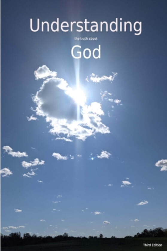 Understanding The Truth About God av Theodore Yocum (Paperback)