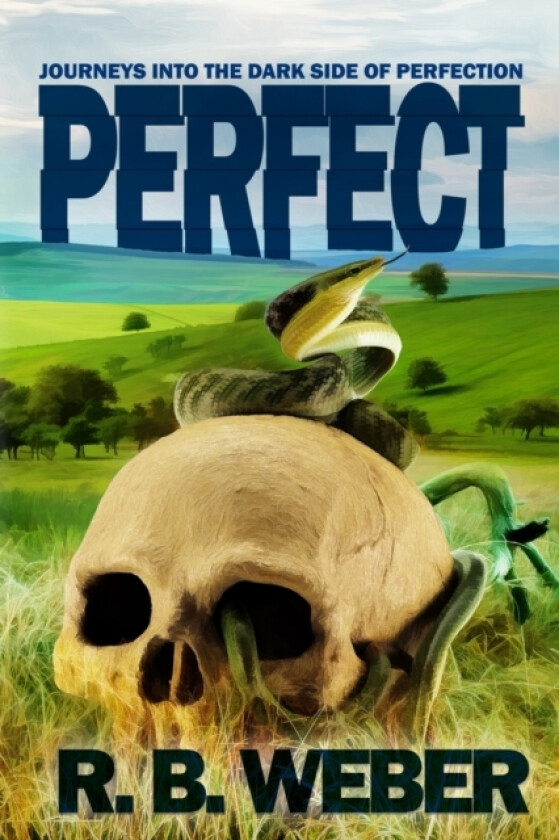 PERFECT av R B Weber (Paperback)