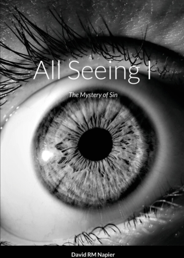 All Seeing I av David Napier (Paperback)