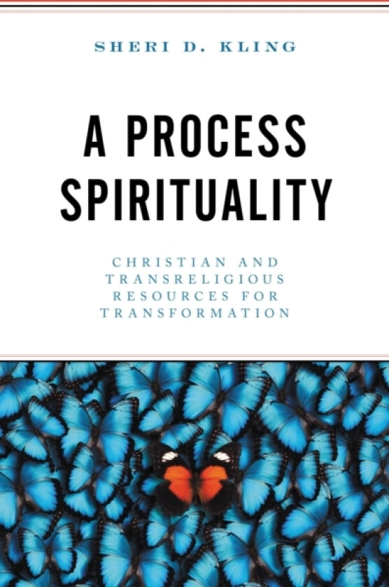 A Process Spirituality av Sheri D. Kling (Hardcover)