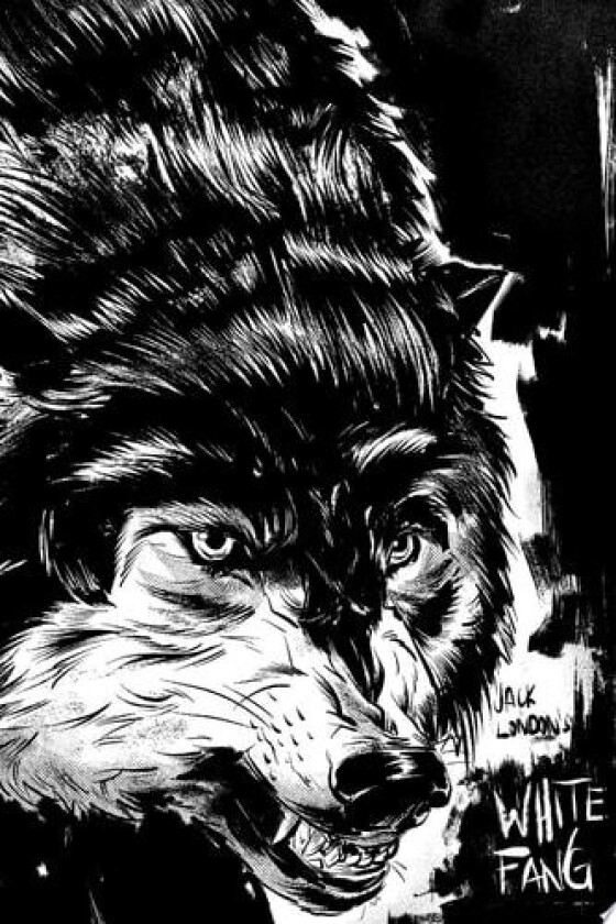 WHITE FANG av JACK LONDON (Paperback)
