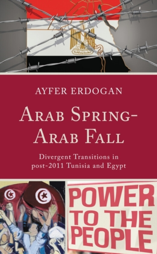 Arab Spring-Arab Fall av Ayfer Erdogan (Paperback)