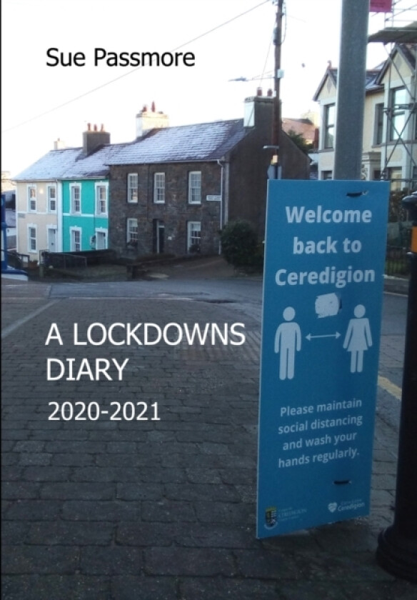 A Lockdowns Diary 2020 - 2021 av Sue Passmore (Paperback)