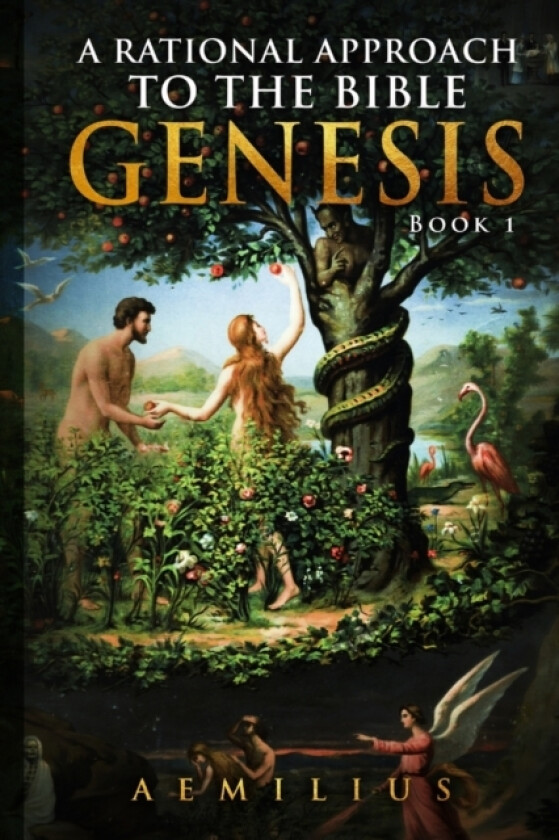 A Rational Approach To The Bible: Genesis - Book 1 av Aemilius (Paperback)