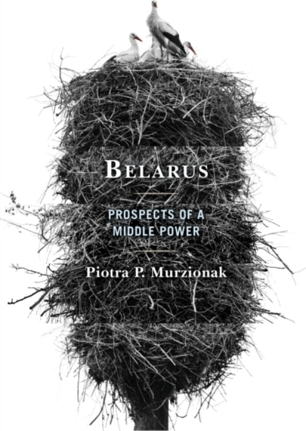 Belarus av Piotra P. Murzionak (Paperback)