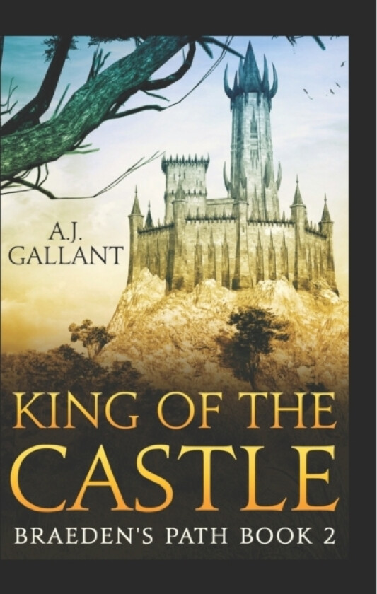 King of the Castle av A J Gallant (Paperback)