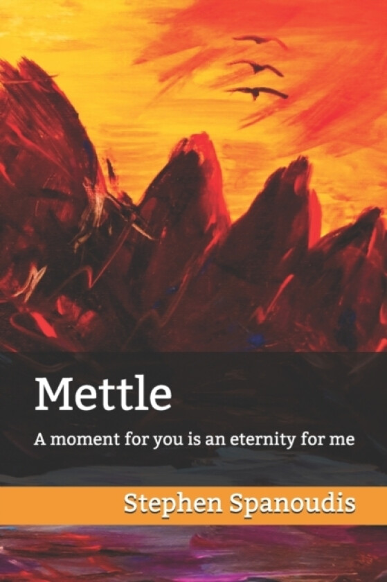 Mettle av Stephen Spanoudis (Paperback)