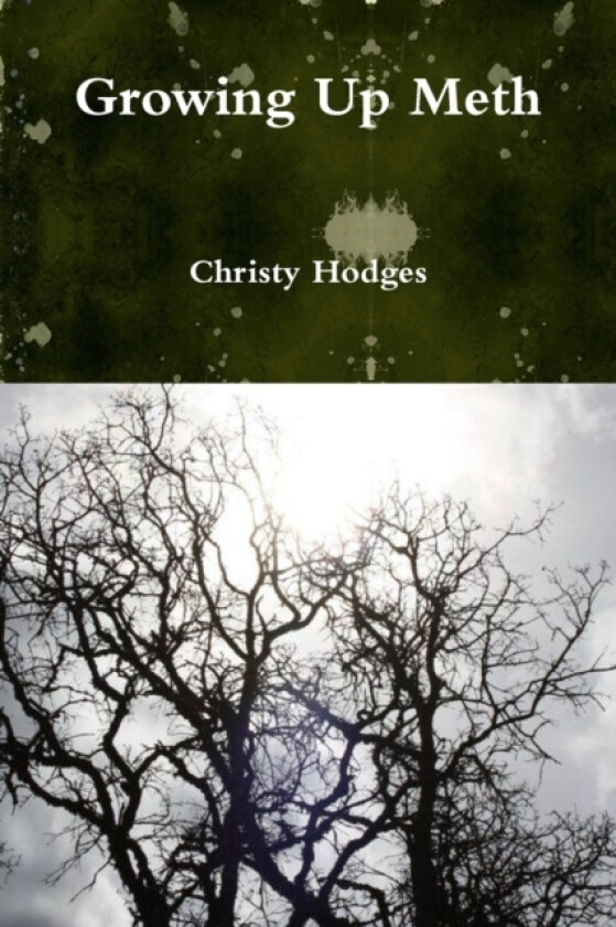 Growing Up Meth av Christy Hodges (Paperback)