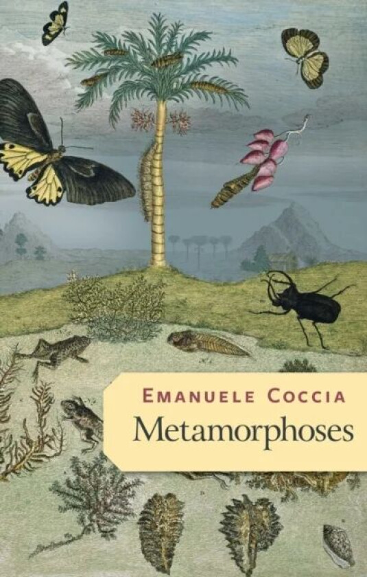 Metamorphoses av Emanuele Coccia