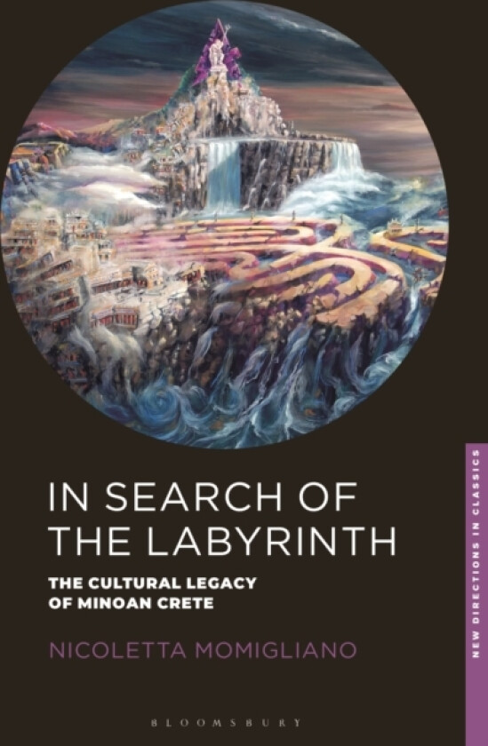In Search of the Labyrinth av Nicoletta Momigliano (Hardcover)