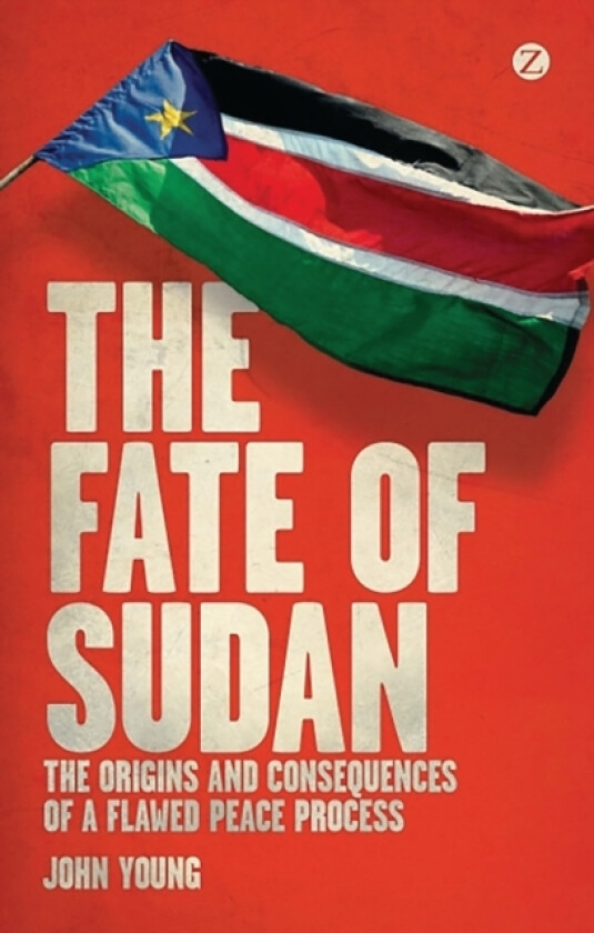 The Fate of Sudan av John Young (Hardcover)