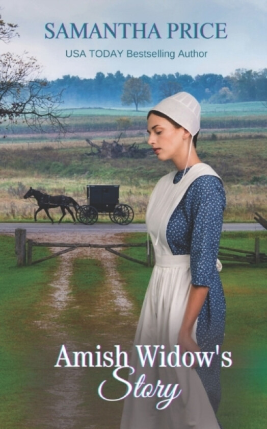 Amish Widow's Story av Samantha Price (Paperback)