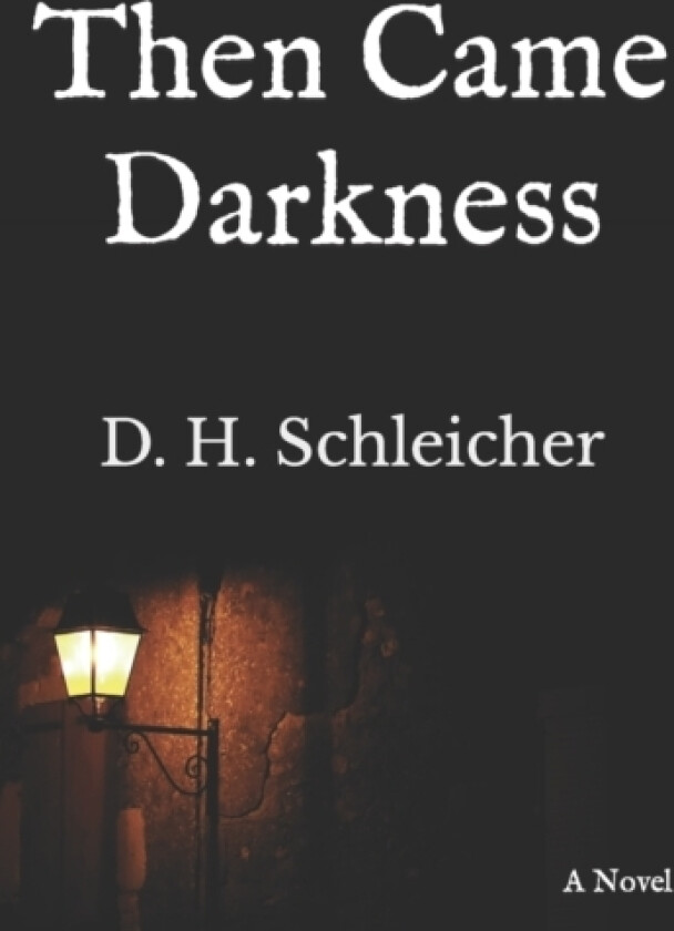 Then Came Darkness av D H Schleicher (Paperback)