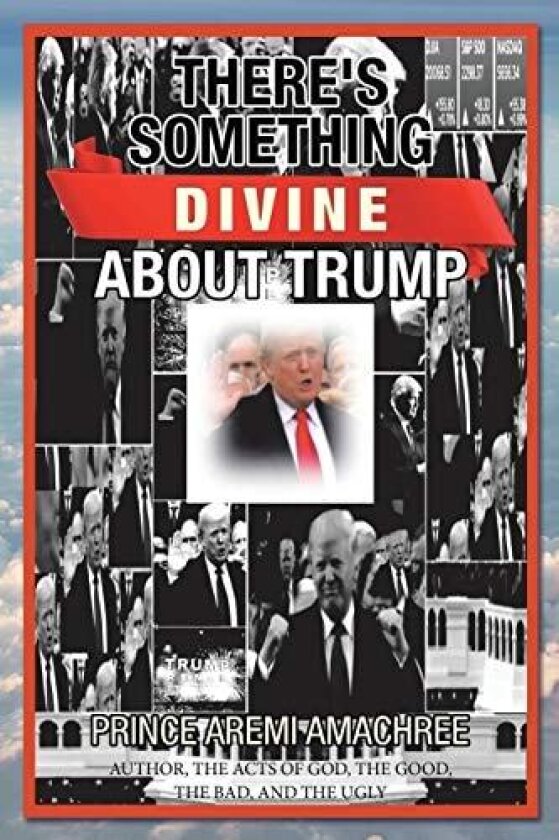 There's Something Divine About Trump av Prince Aremi Amachree (Paperback)