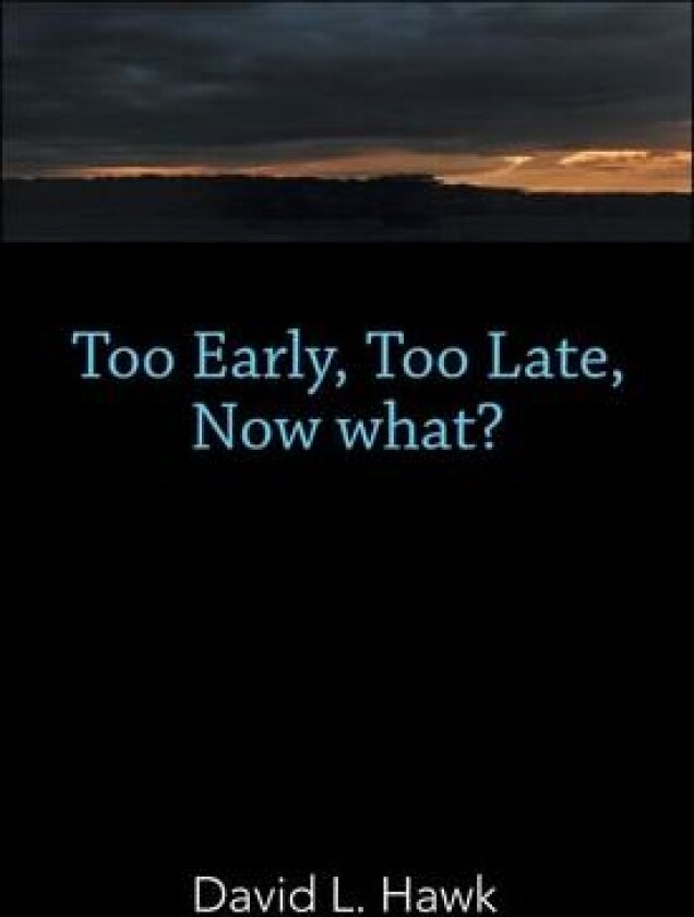 Too Early, Too Late, Now What? av David L Hawk (Paperback)