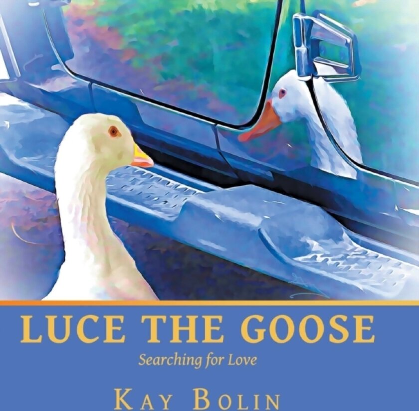 Luce the Goose av Kay Bolin (Hardcover)