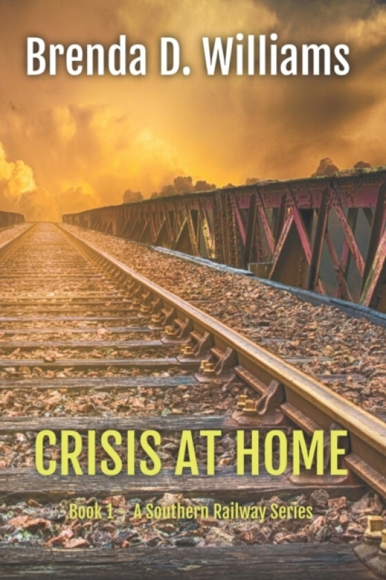 Crisis At Home av Brenda D Williams (Paperback)