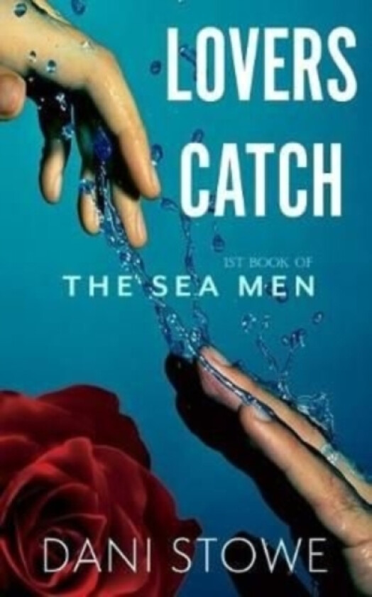 Lovers Catch av Dani Stowe (Paperback)