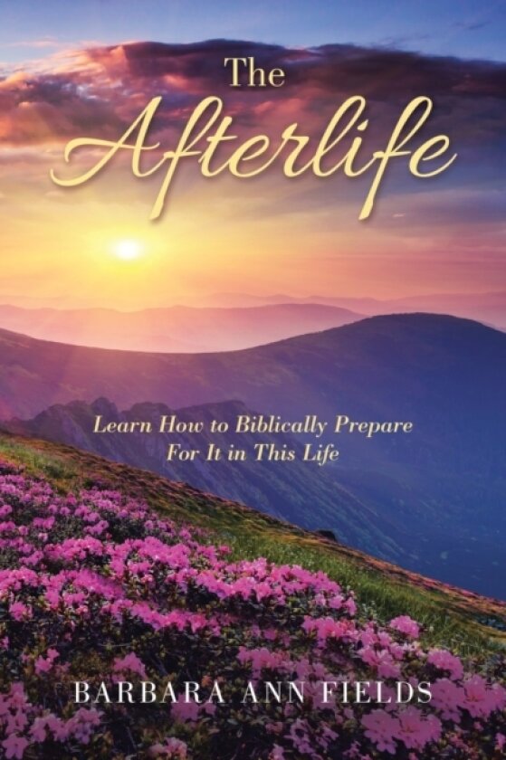 The Afterlife av Barbara Ann Fields (Paperback)