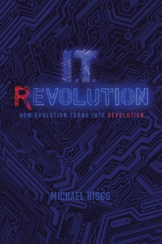 It Revolution av Michael Higgs (Paperback)