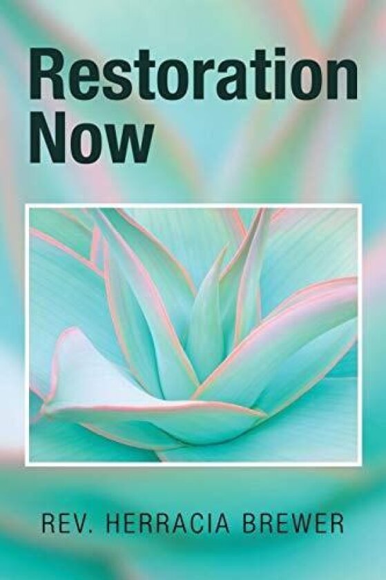 Restoration Now av REV Herracia Brewer (Paperback)