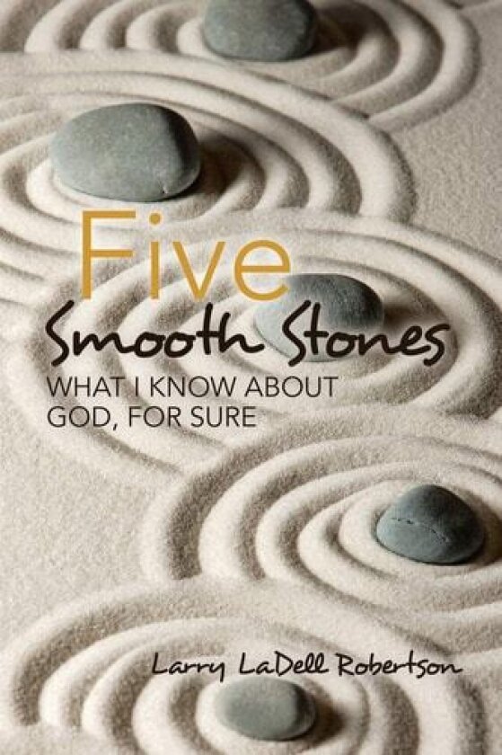 Five Smooth Stones av Larry Ladell Robertson (Paperback)