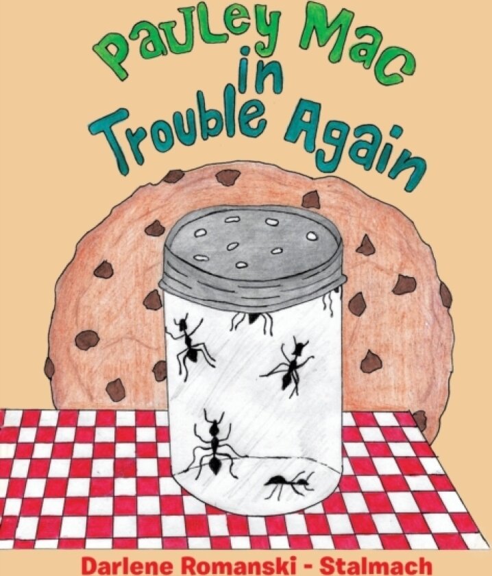 Pauley Mac in Trouble Again av Darlene Romanski - Stalmach (Paperback)