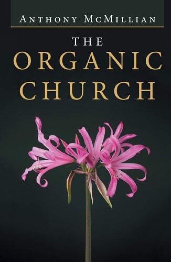 The Organic Church av Anthony McMillian (Paperback)