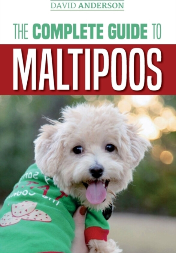 The Complete Guide to Maltipoos av David Anderson (Paperback)