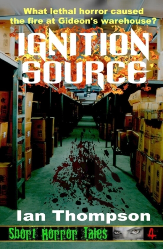 Ignition Source av Ian Thompson (Paperback)