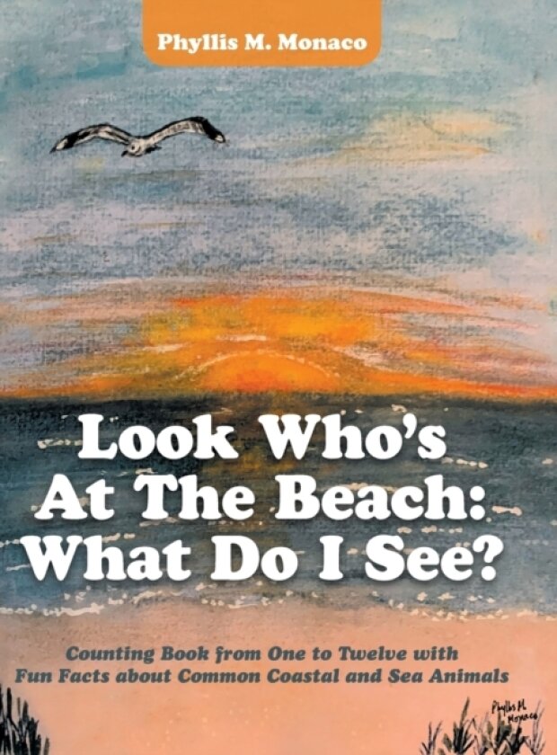Look Who's at the Beach av Phyllis M Monaco (Hardcover)