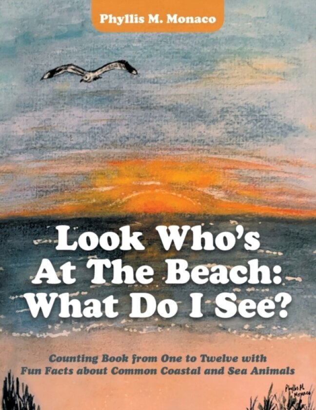 Look Who's at the Beach av Phyllis M Monaco (Paperback)