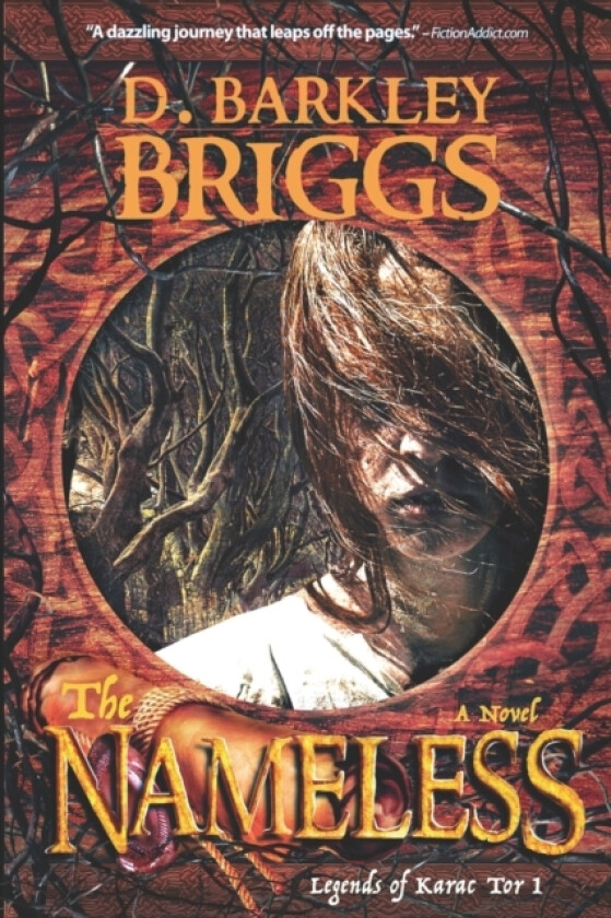 The Nameless av D Barkley Briggs (Paperback)