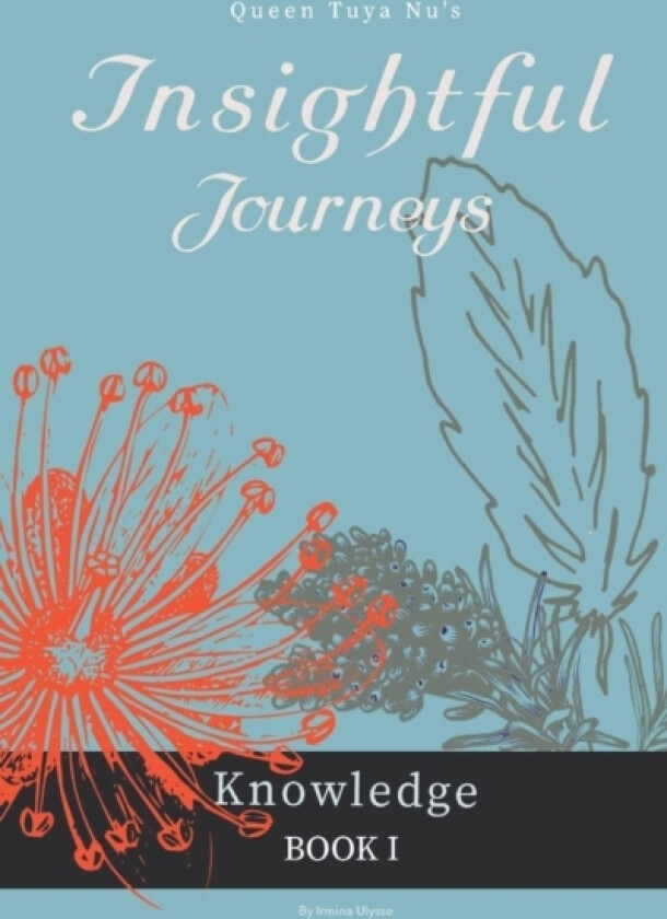 Insightful Journeys av Irmina Ulysse (Paperback)