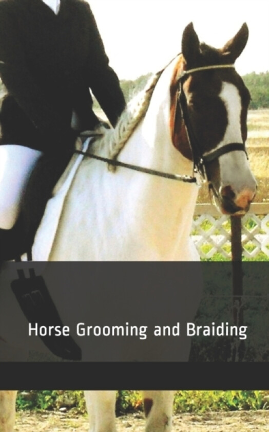 Horse Grooming and Braiding av Melanie Patton (Paperback)