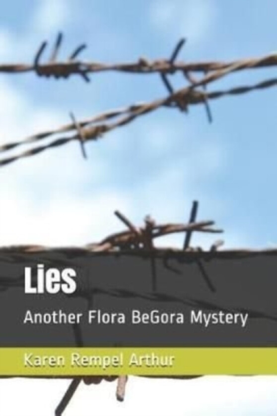 Lies av Karen Rempel Arthur (Paperback)