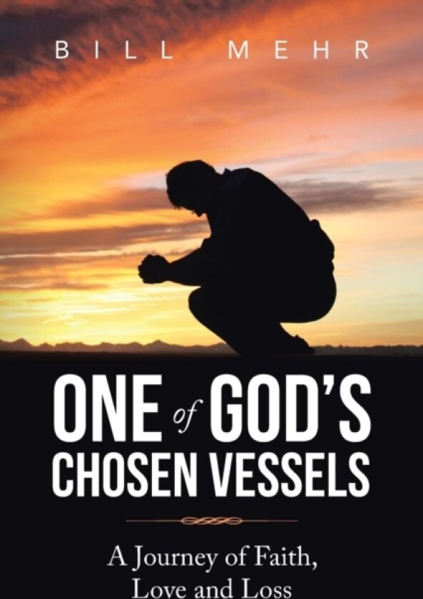 One of God's Chosen Vessels av Bill Mehr (Paperback)