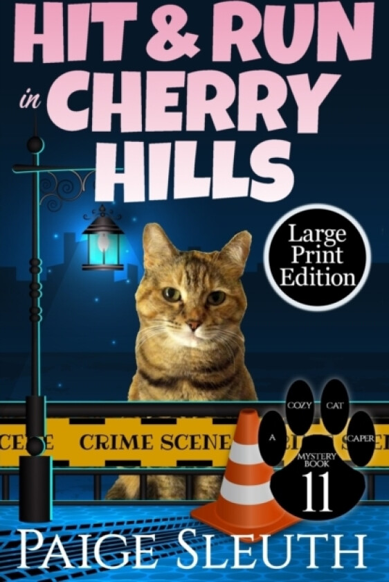 Hit and Run in Cherry Hills av Paige Sleuth (Paperback)