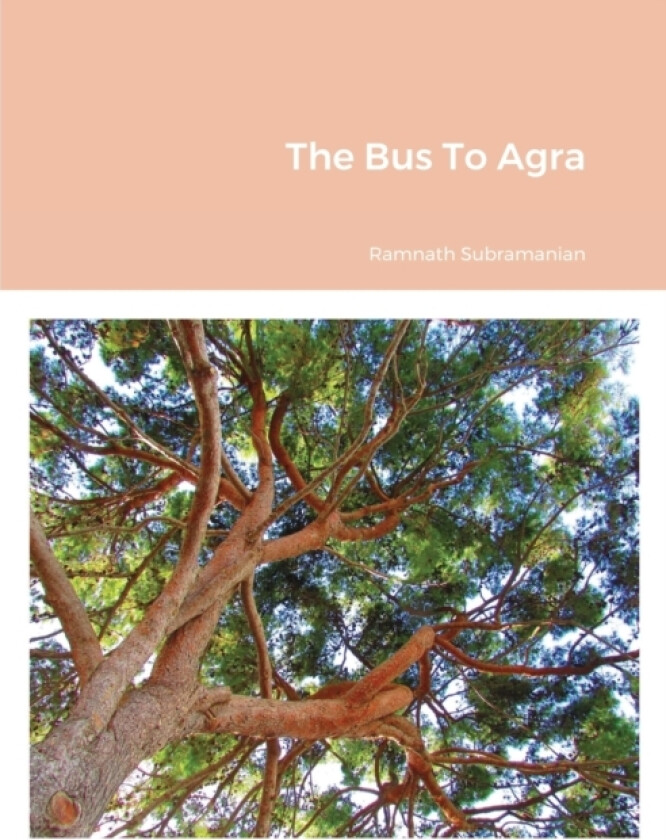 The Bus To Agra av Ramnath Subramanian (Paperback)