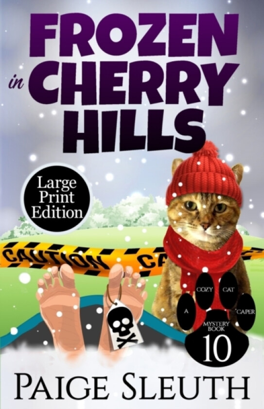 Frozen in Cherry Hills av Paige Sleuth (Paperback)