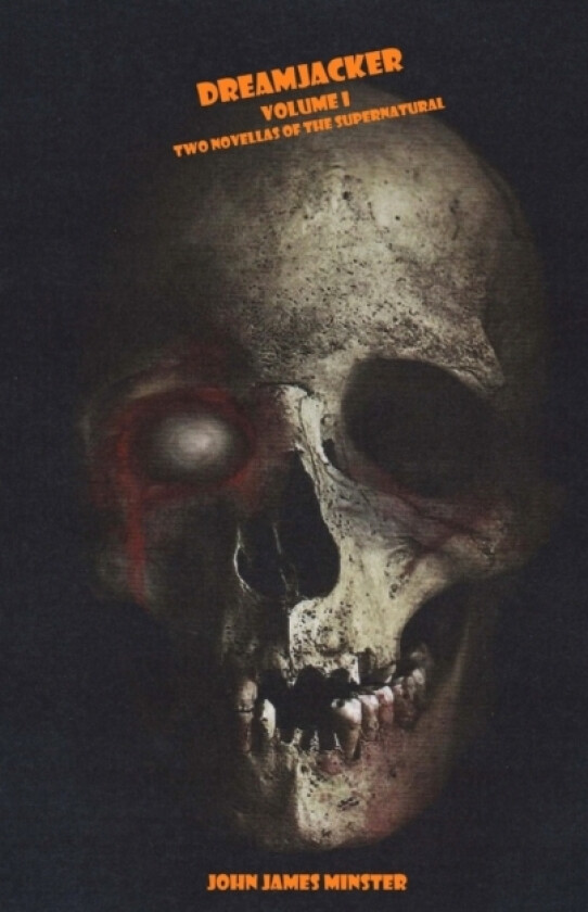 Dreamjacker - Volume I av John James Minster (Paperback)