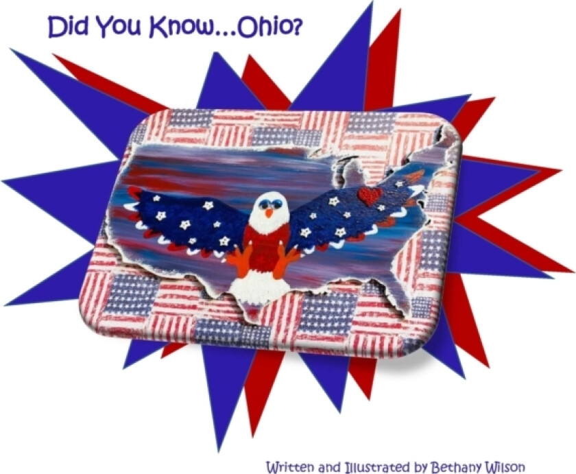 Did You Know Ohio? av Bethany Wilson (Paperback)