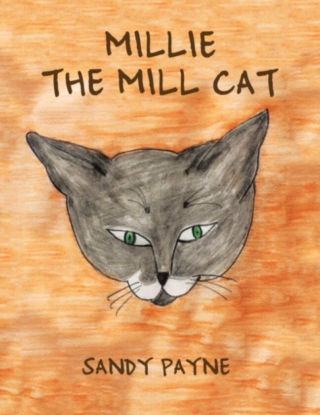 Millie the Mill Cat av Sandy Payne (Paperback)