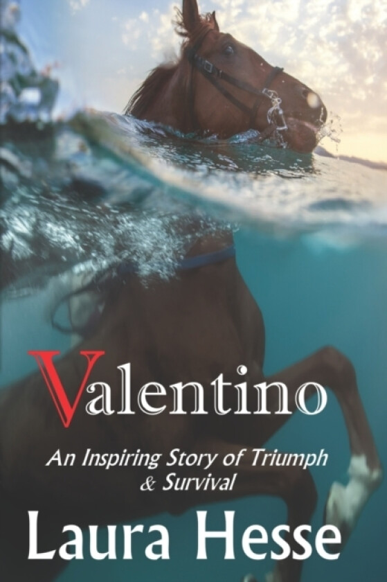 Valentino av Laura Hesse (Paperback)